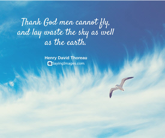 thank god men cannot fly, and lay waste the sky as well as the earth. henry david thoreau