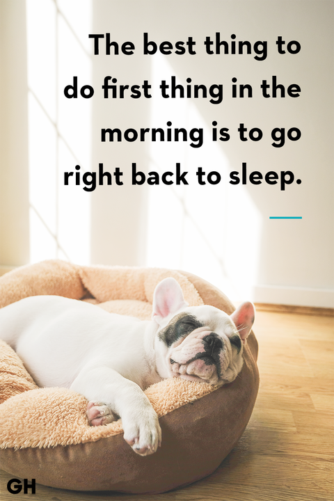 the best thing to do first thing in the morning is to go right back to sleep