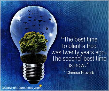 the best time to plant a tree was twenty years ago. the second-best time is now.