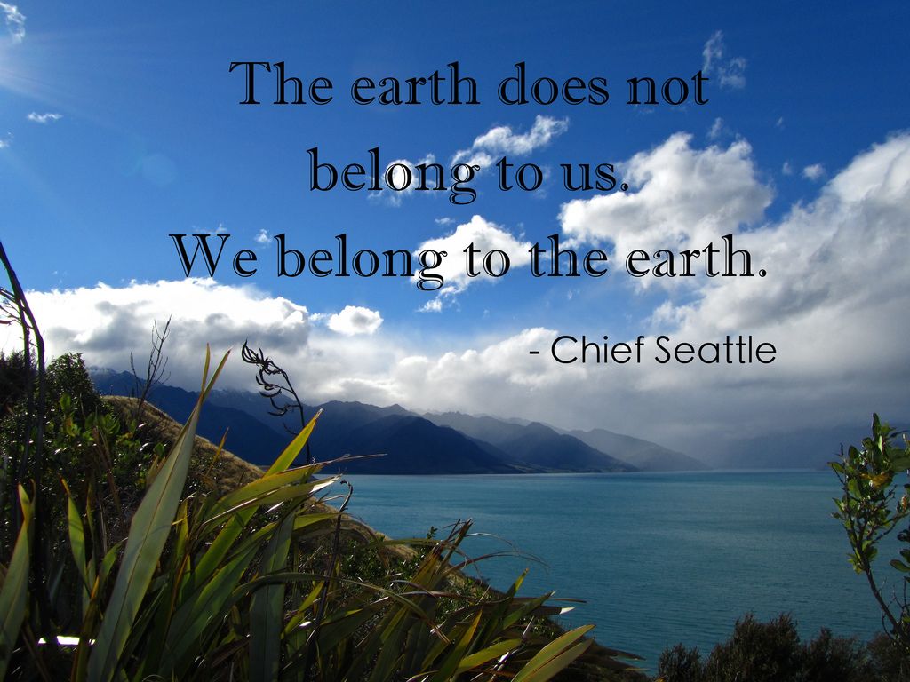 the earth does not belong to us we belong to the earth. chief seattle