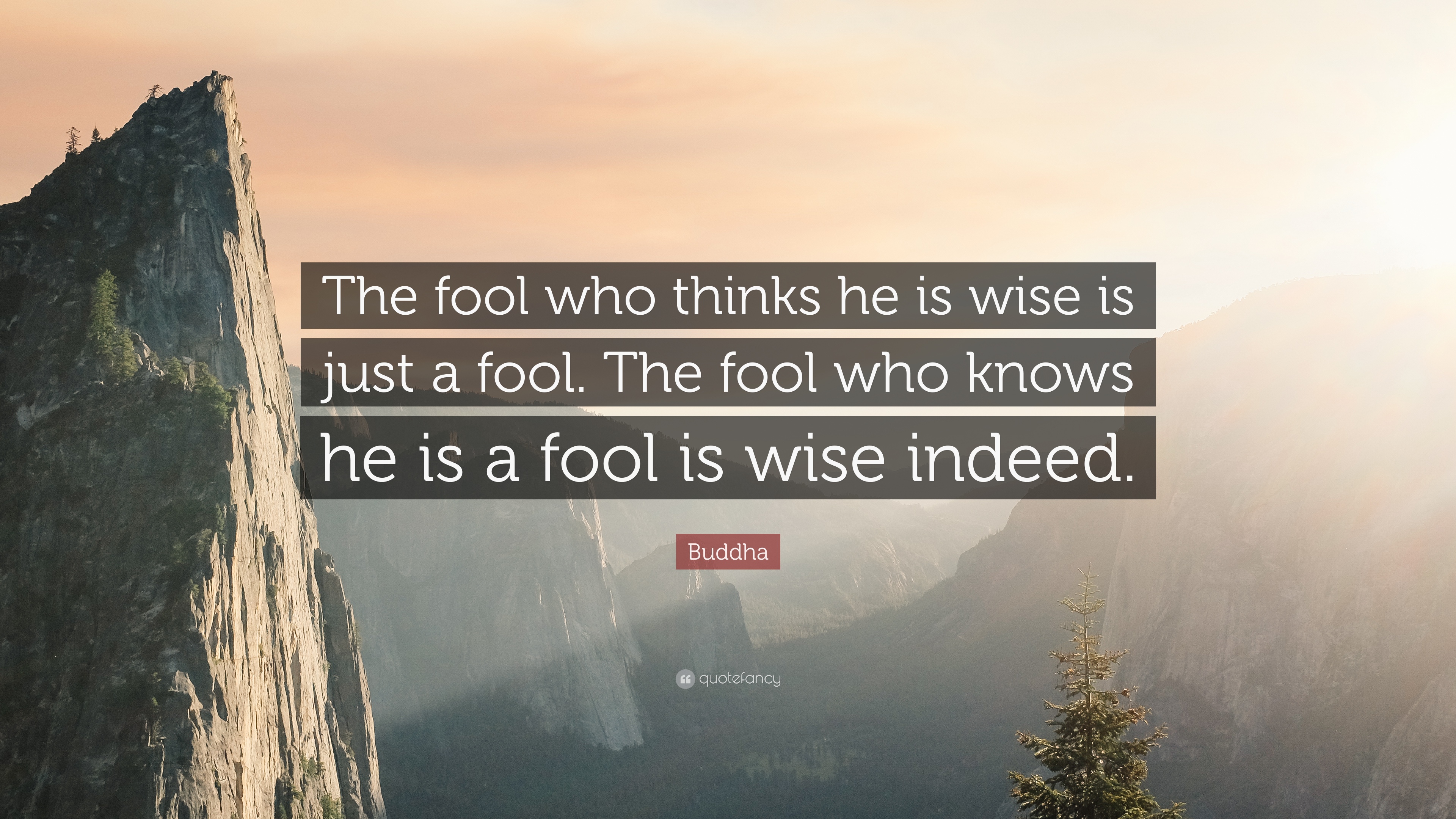 the fool who thinks he is wise is just a fool. the fool who knows he is a fool is wise indeed. buddha