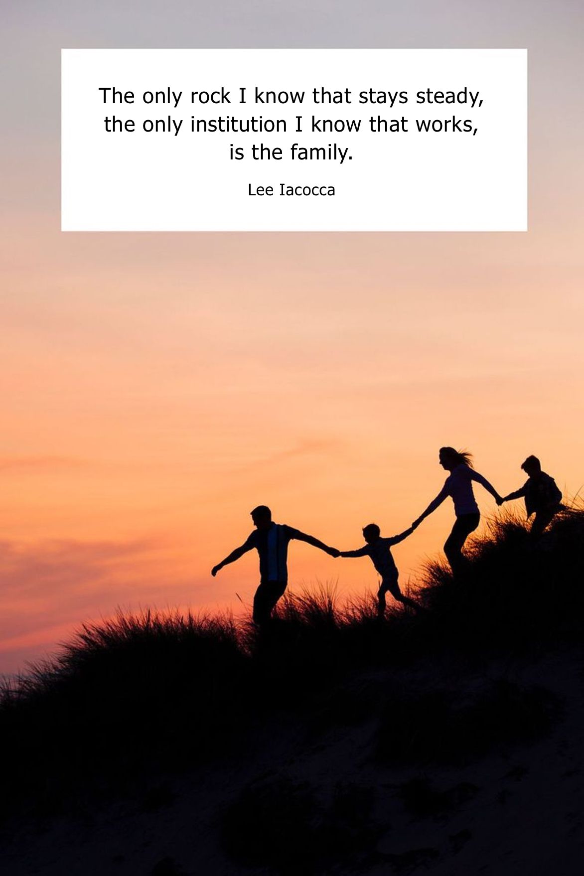 the only rock i know that stays steady, the only institution i know that works, is the family. lee iacocca