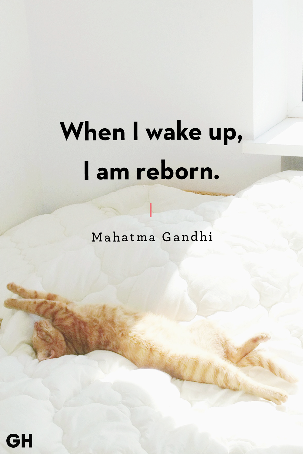 when i wake up, i am reborn. mahatma gandhi