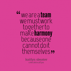 We Are A Team We Must Work Together To Make Harmony Because One Cannot Do It Themselves. Kaillyn Sleyster