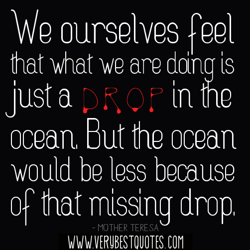 We Ourselves Feel That What We Are Doing Is Just A Drop In The Ocean. But The Ocean Would Be Less Because Of That Missing Drop. Mother Teresa