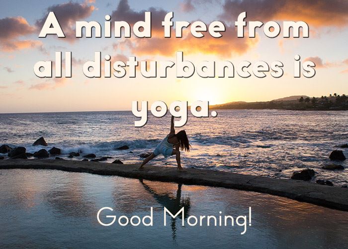 a mind free from all disturbances is yoga.