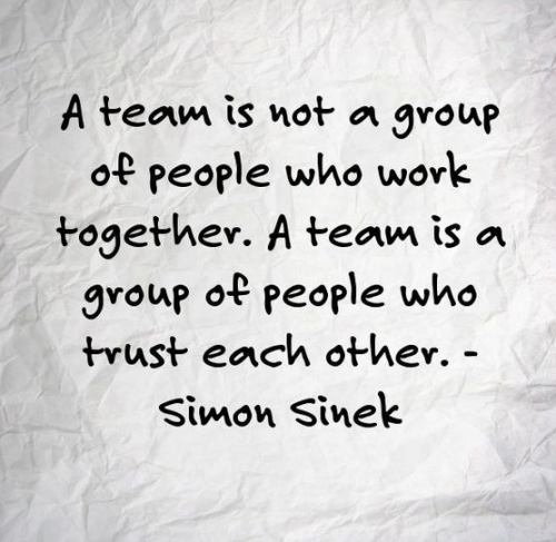 a team is not a group of people who work together. a team is a group of people who trust each other. simon sinek