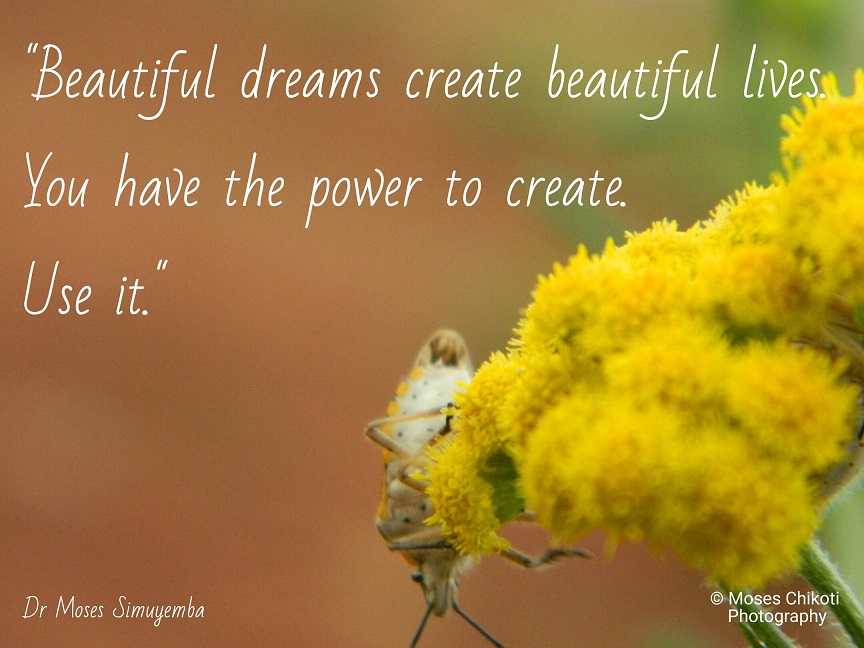 beautiful dreams create beautiful lives. you have the power to create. use it