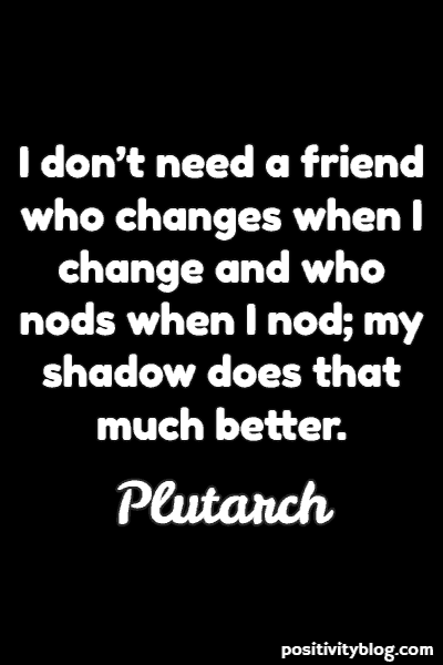 i don’t need a friend who changes when i change and who nods when i nod my shadow does that much better. plutarch