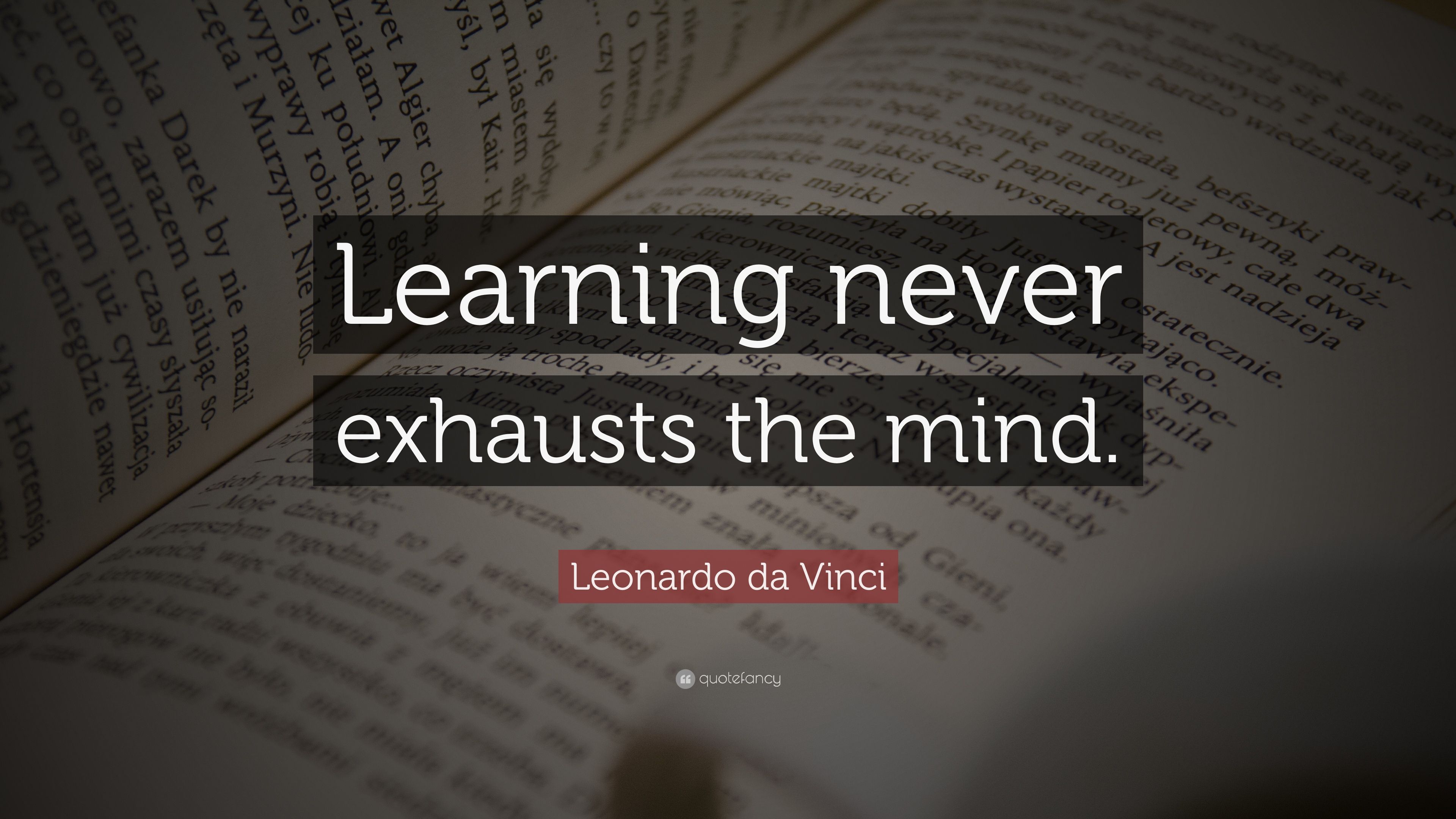 learning never exhausts the mind. leonardo da vinci