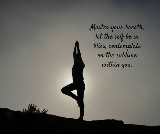 master your breath, let the self be in bliss contemplate on the sublime within you