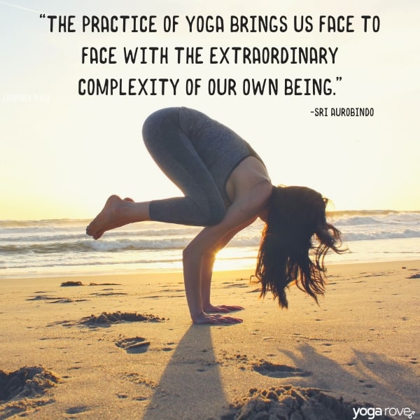 the practice of yoga brings us face to face with the extraordinary complexity of our own being.