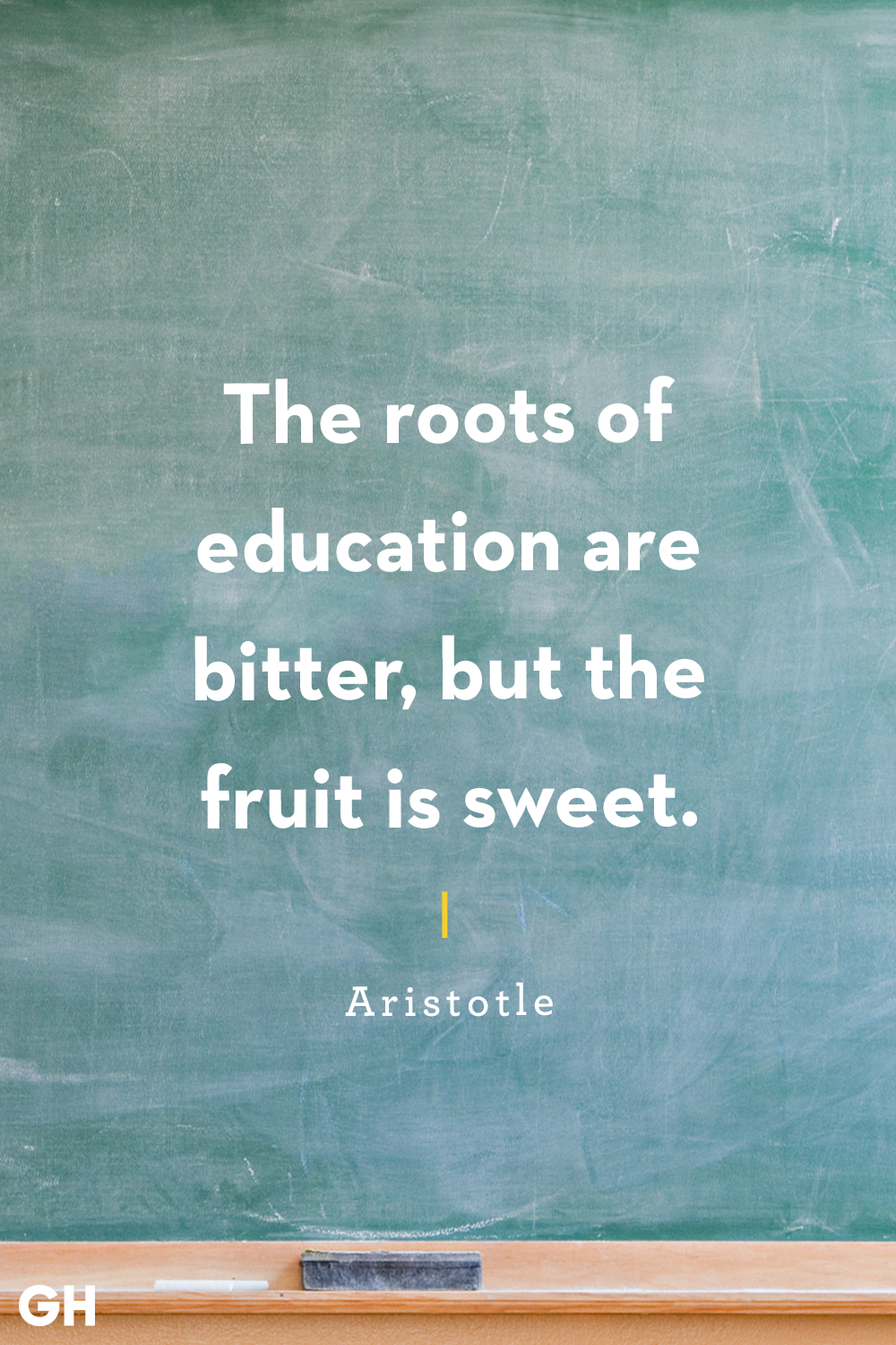 the roots of education are bitter but the fruitis sweet. aristotle