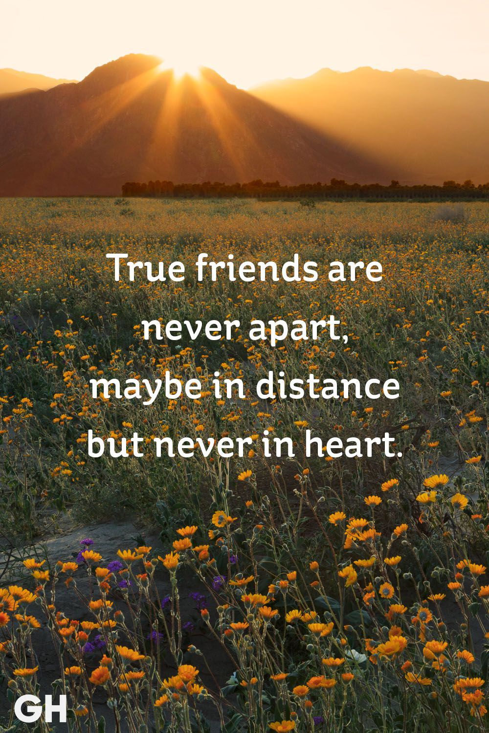 true friends are never apart maybe in distance but never in heart