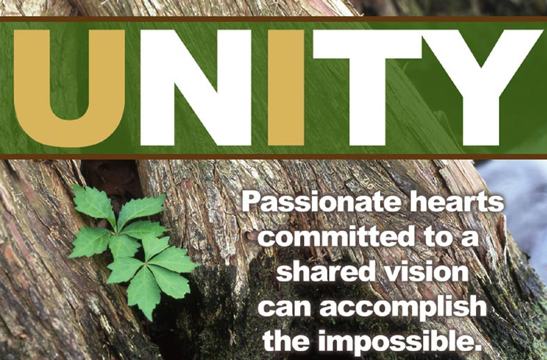 unity passionate hearts committed to a shard vision can accomplish the impossible