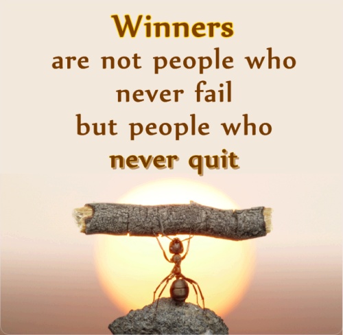 winners are not people who never fail but people who never quit