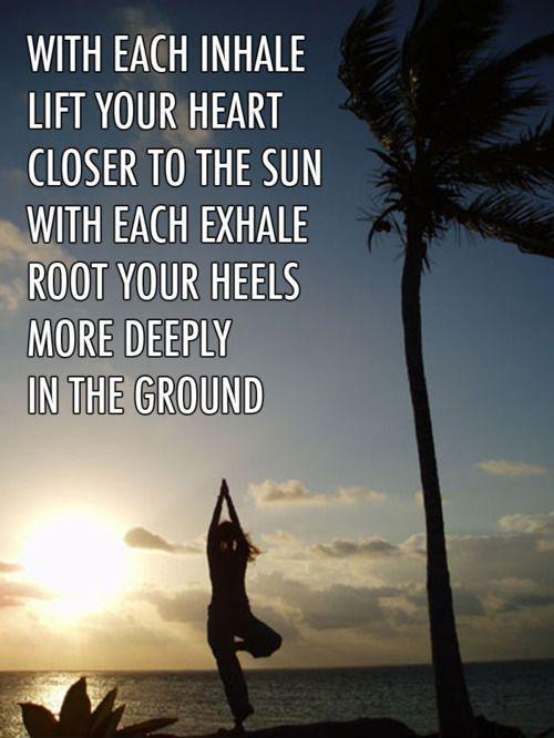 with each inhale lift your heart closer to the sun with each exhale root your heels more deeply in the ground