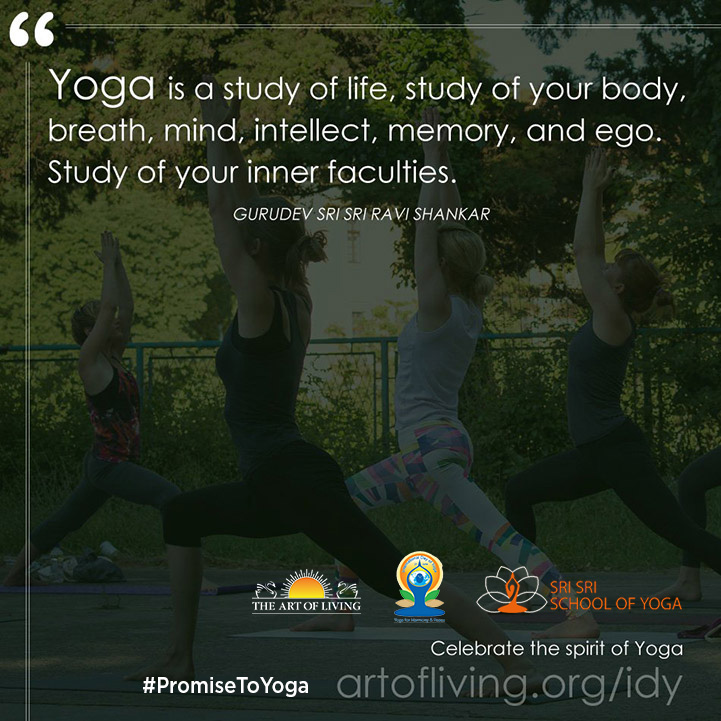 yoga is a study of life, study of your body breath mind intellect memory and ego. study of your inner faculties.