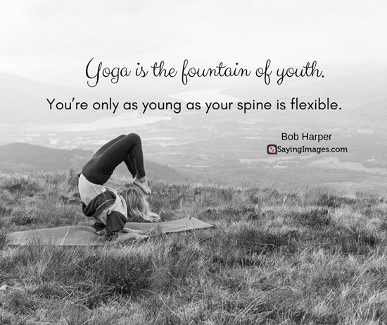 yoga is the fountain of youth. you’re only as young as your spine is flexible. bob harper