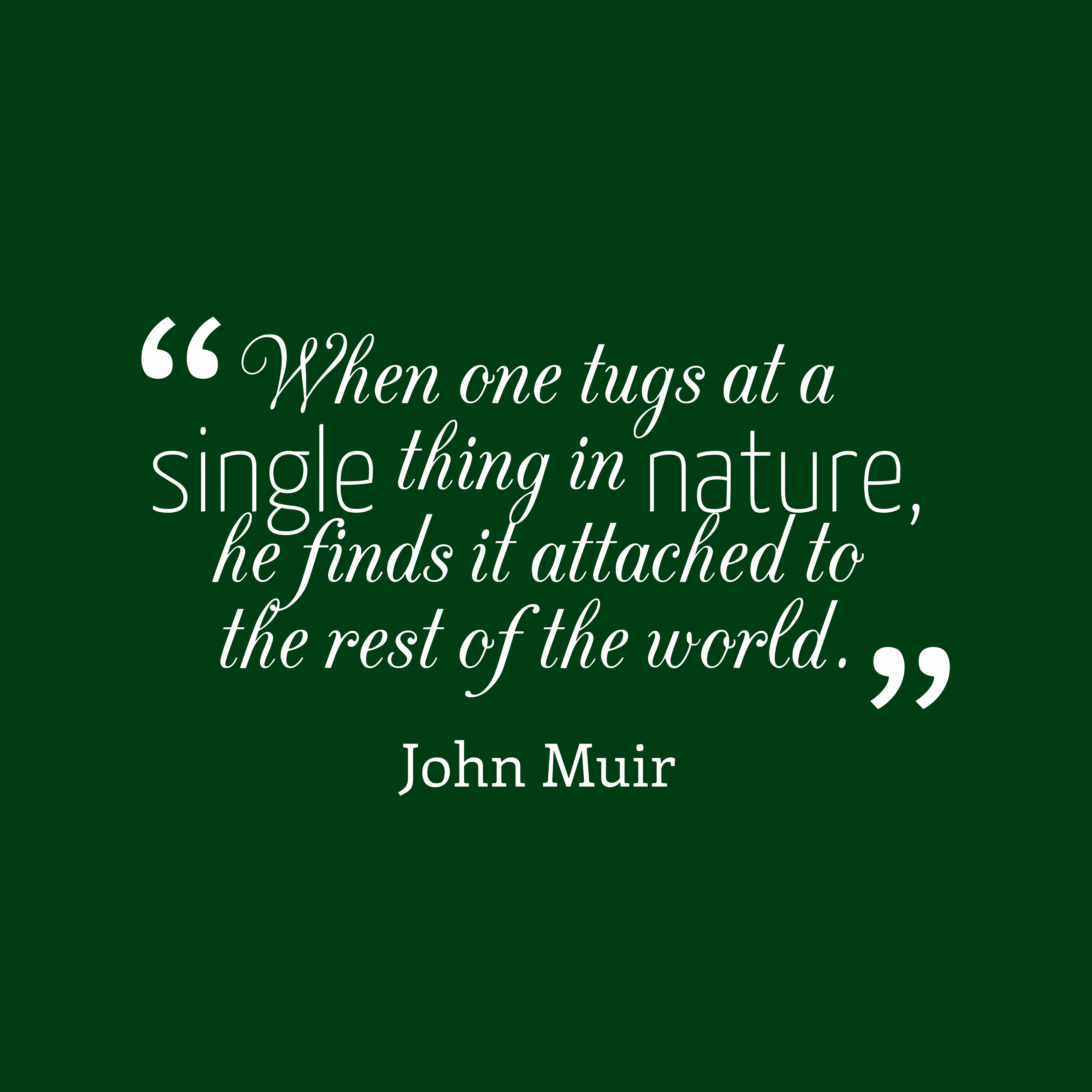 When one tugs at a single thing in nature, he finds it attached to the rest of the world.john muir