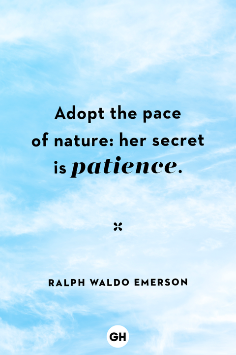 adopt the pace of nature her secret is patience