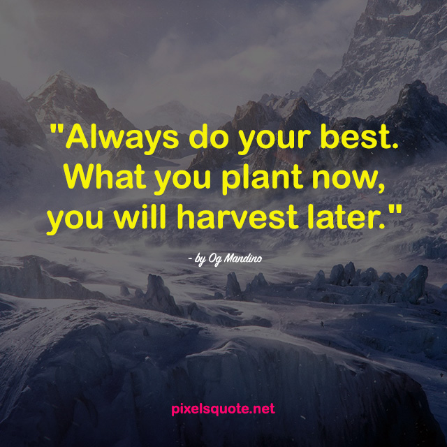 always do your best what you plant now, you will harvest later.