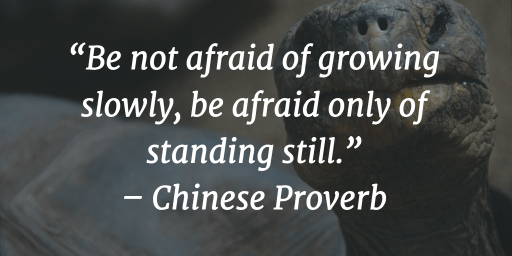 be not afraid of growing slowly, be afraid only of standing still