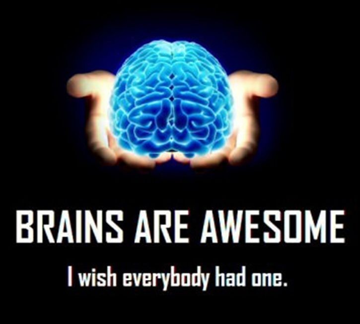 brains are awesome i wish everybody had one
