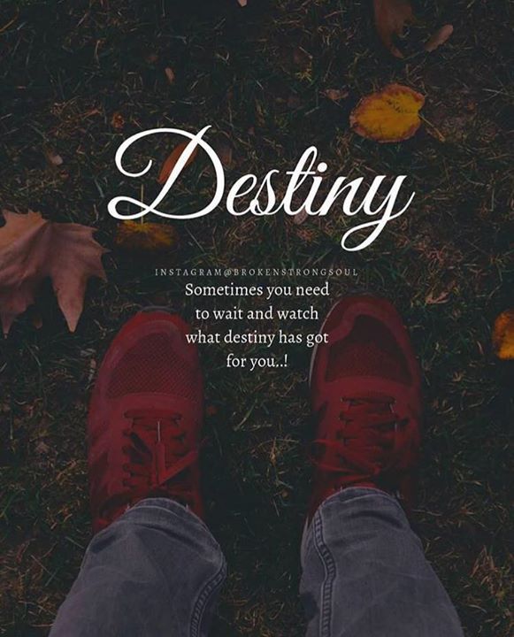 destiny sometimes you need to wait and watch what destiny has got for you