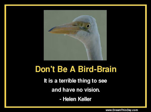 don’t be a bird-brain it is a terrible thing to see and have no vision. helen keller