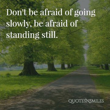 don’t be afraid of going slowly, be afraid of standig still