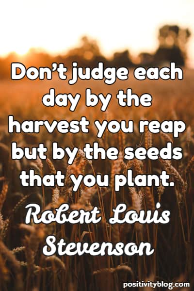 don’t judge each day by the harvest you reap but by the seeds that you plant. stevenson