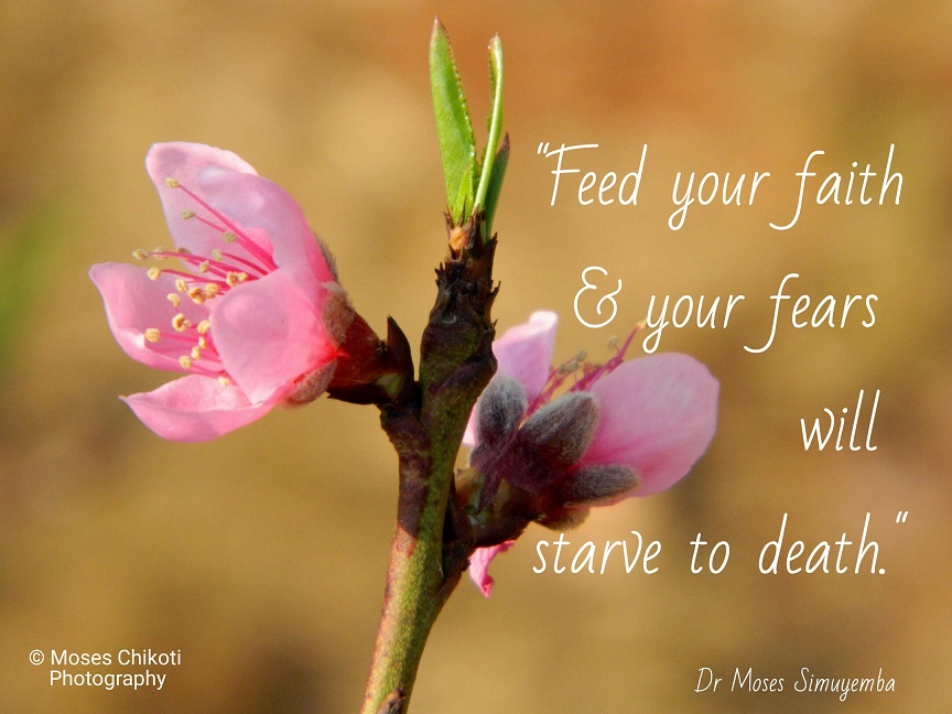 feed your faith & your fears will starve to death. dr. moses simuyemba