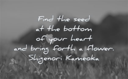 find the seed at the bottom of your heart and bring forth a flower. shigenori kameoka