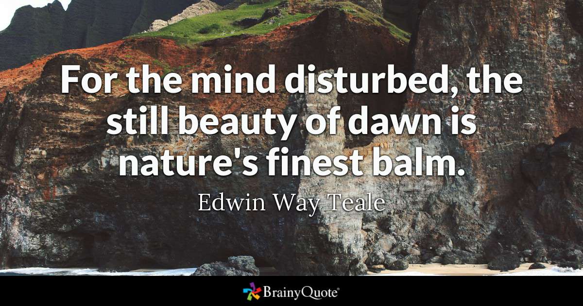 for the mind disturbed the still beauty of dawn is nature’s finest balm. edwin way teale