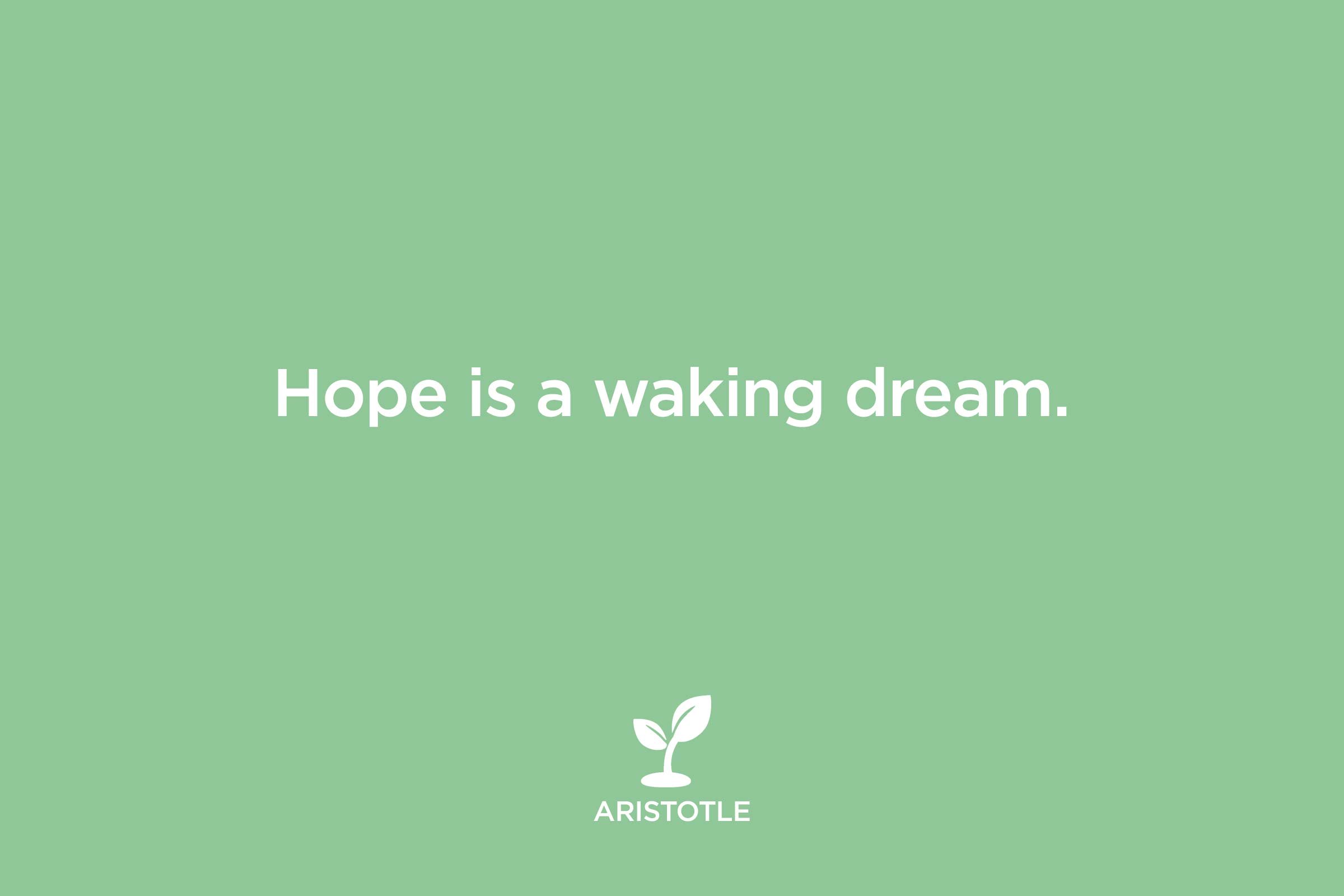 hope is a waking dream. aristotle