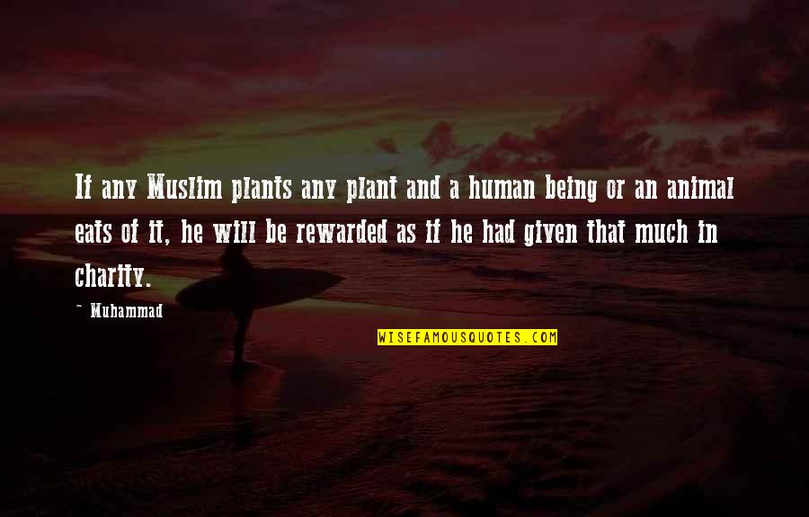 if any muslim plants any plant and a human being or an animal eats of it, he will be rewarded as if he had given that much in charity