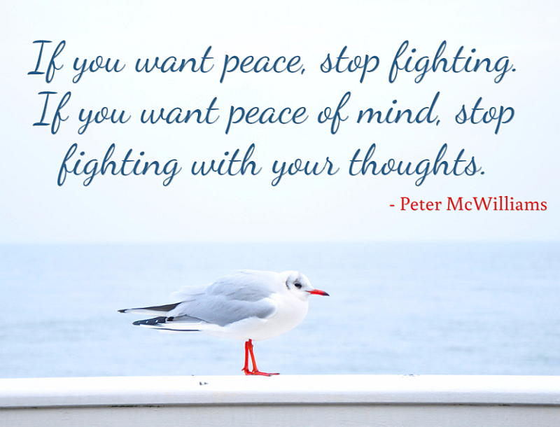 if you want peace, stop fighting. if you want peace of mind, stop fighting with your thoughts. peter mcwilliams
