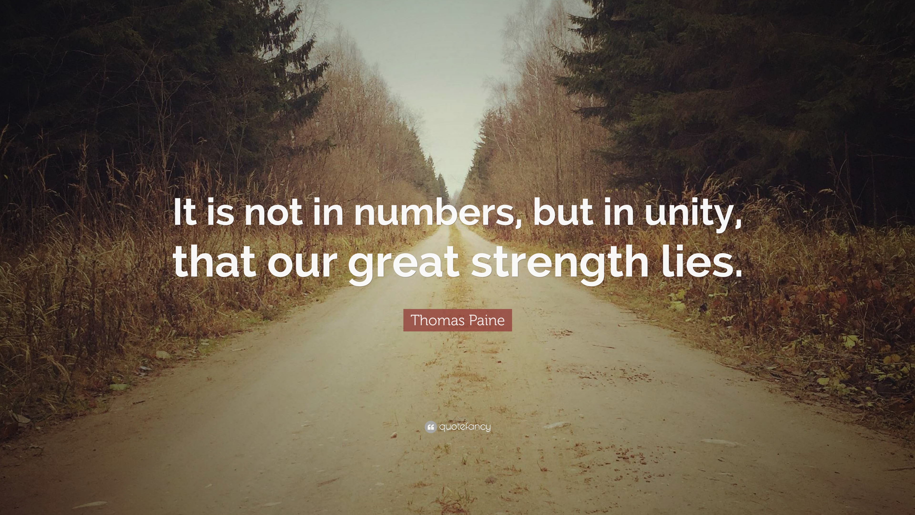 it is not in number, but in unity that our great strength lies. thomas paine