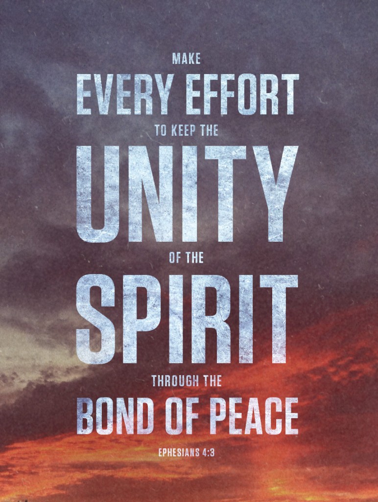 make every effort to keep the unity of the spirit through the bond of peace