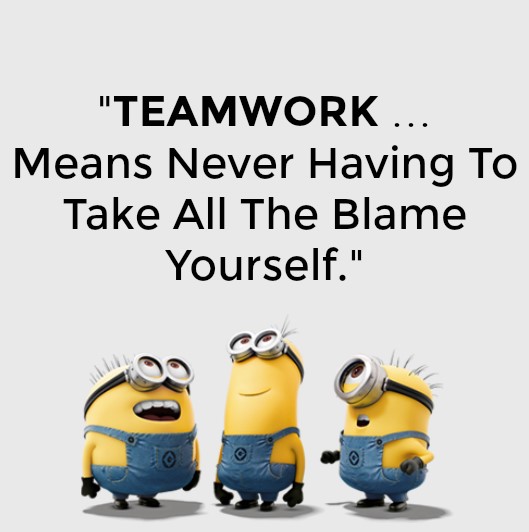 teamwork means never having to take all the blame yourself