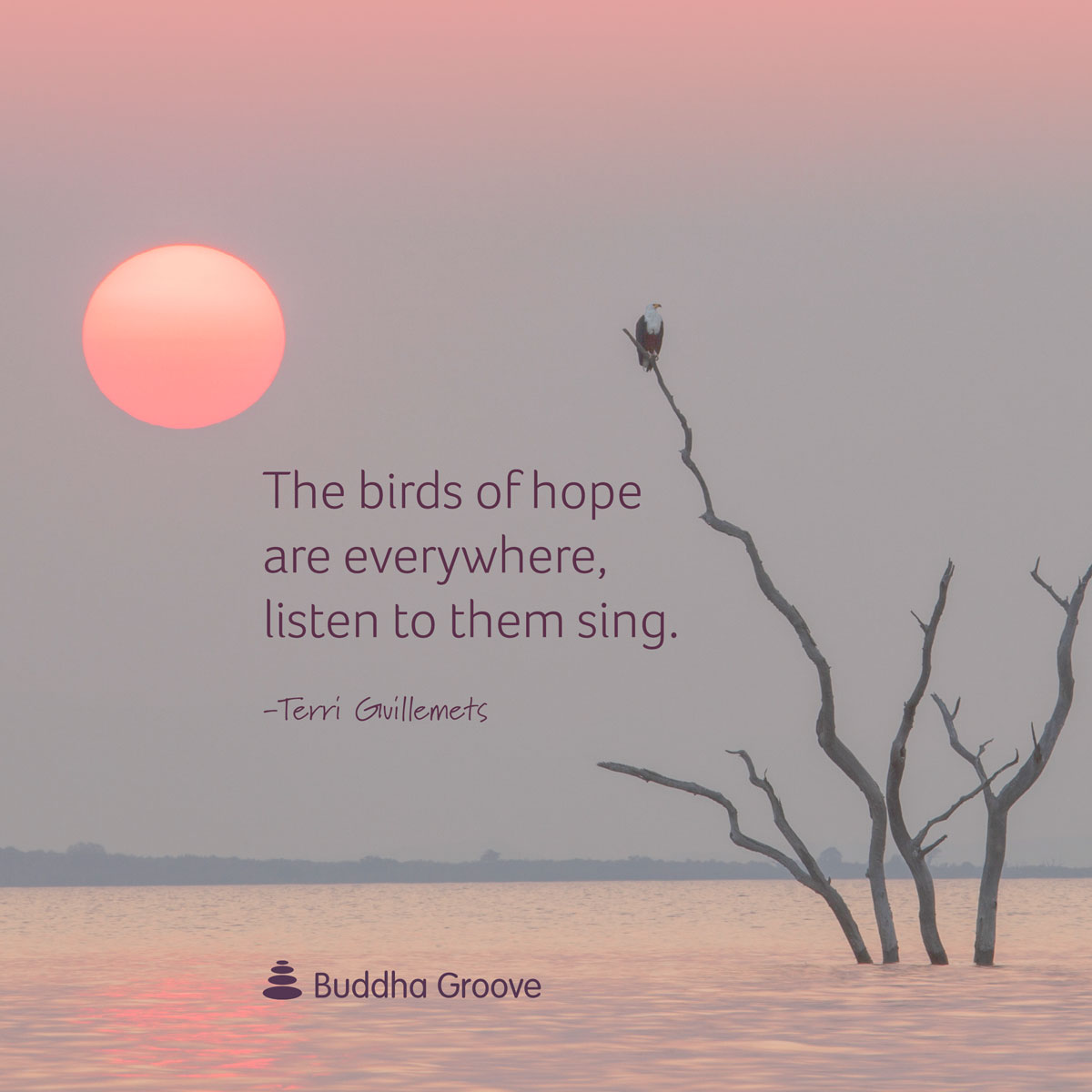 the birds of hope are everywhere, listen to them sing. terri grillenets