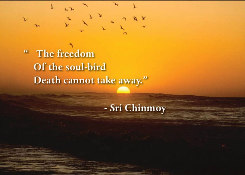 the freedom of the soul-bird death cannot take away. sri chinmoy