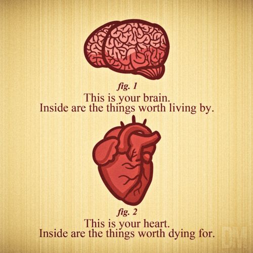 this is your brain. inside are the things worth living by. this is your heart inside are the things worth dying for