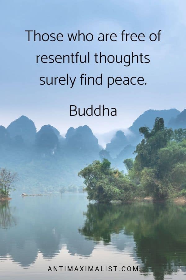 those who are free of resentful thoughts surely find peace. budha