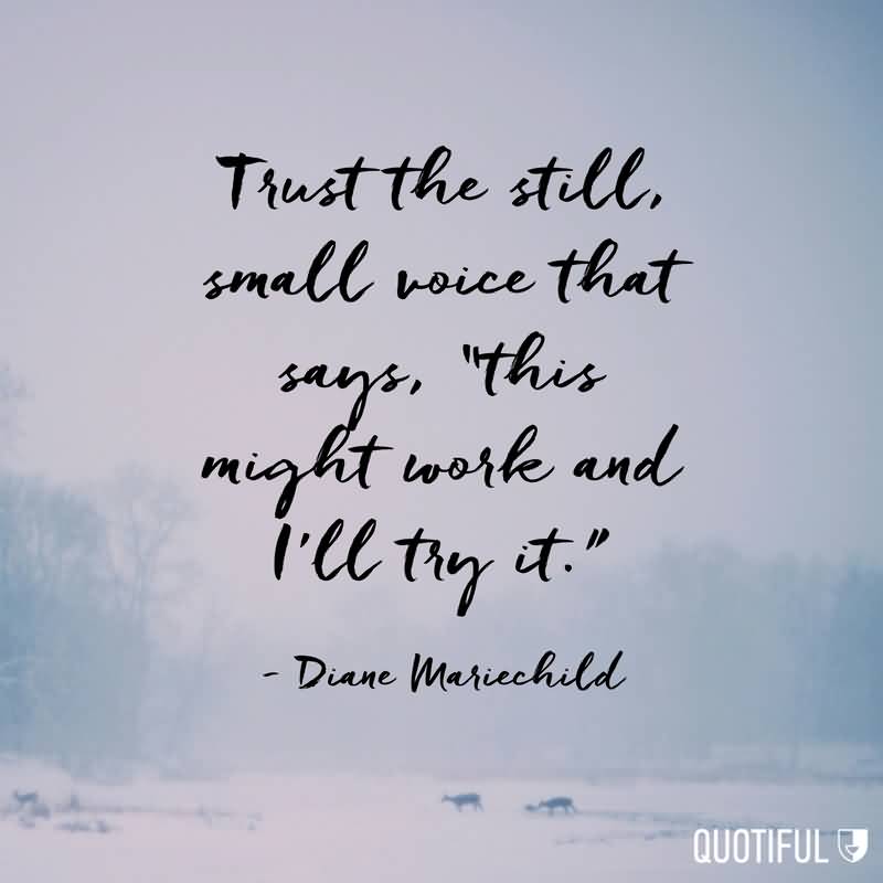trust the still small voice that says this might work and i’ll try it. diane mariechild