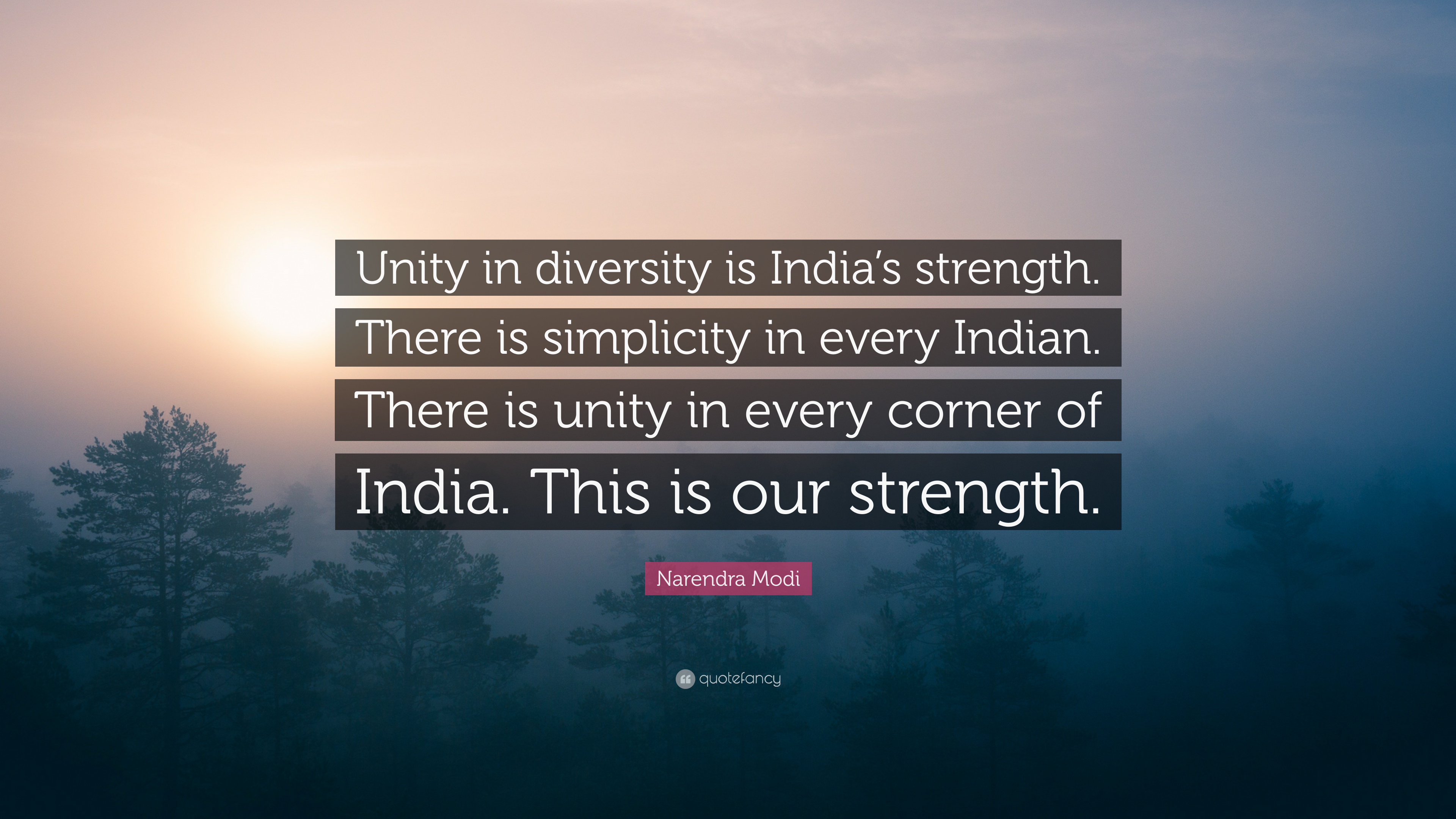 unity is diversity is india’s strength. there is simplicity in every indian. there is unity in every corner of india. this is out strength. narendra modi