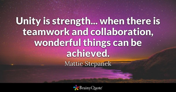 unity is strength… when there is teamwork and collaboration wonderful things can be achieved. mattie stepanek