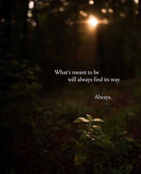 what’s meant to be will always find its way