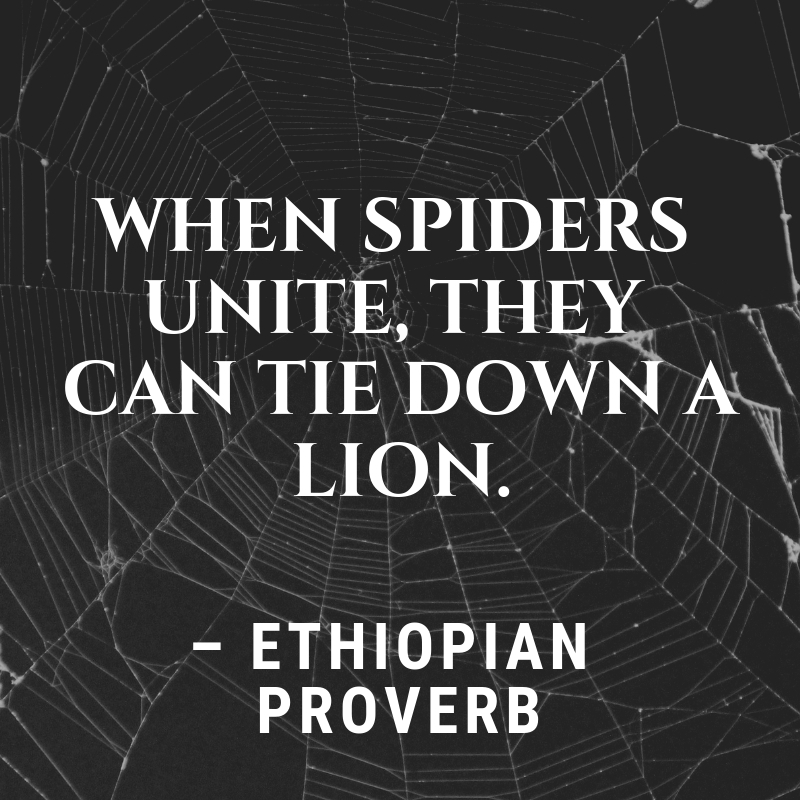 when spiders unite they can tie down a lion. ethiopian